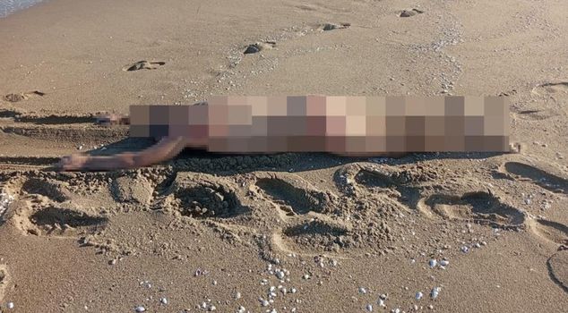 سُجِّلَ العثور على جثة رجل عارٍ على الشاطئ في كاراسو، ساكاريا.