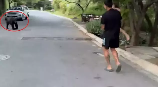 The star football player was shocked by the sight he encountered on his way home.