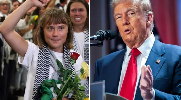 Response from Greta Thunberg to Trump: I would appreciate any advice you have.