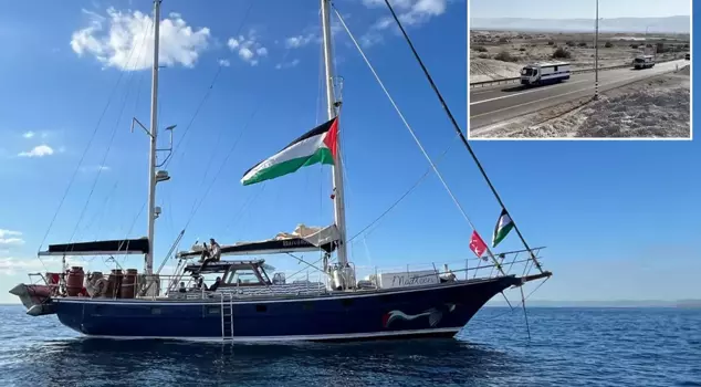 14 Turkish activists detained by Israel's Sumud Fleet are on their way back home.