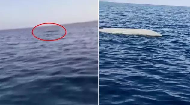 Another province has gone on alert after Trabzon! Fishermen found it, and an investigation has been initiated.