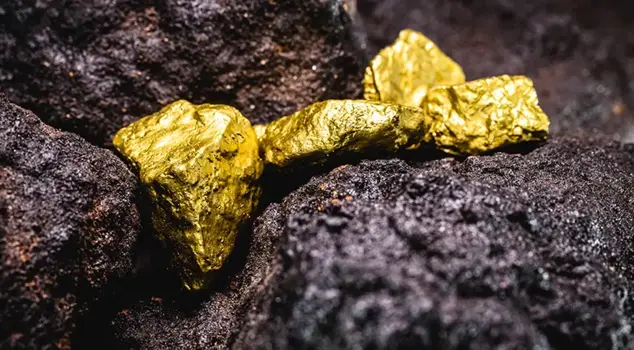 The Presidency of Communications denies the claim that discussions were held with the Americans regarding rare elements.