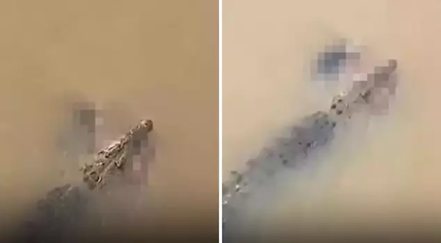 The crocodile would pull the woman who was bathing in the river into the water to kill her.