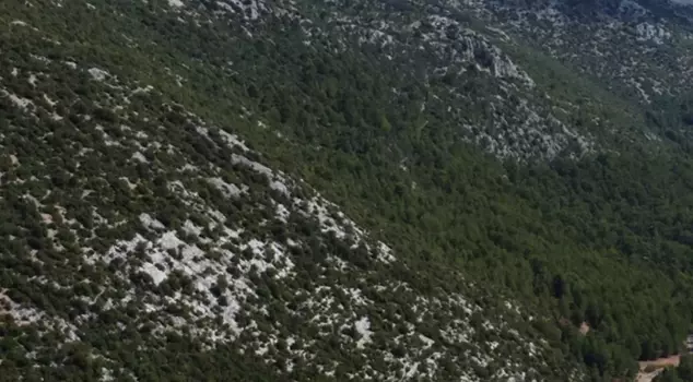 The first snow of the season has fallen in our province, famous for its heat.
