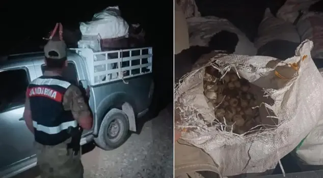 A person collecting endemic mountain garlic has been fined 557,000 lira.
