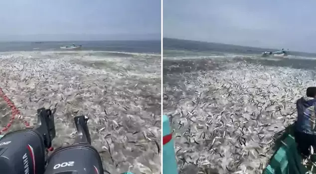 It's not a movie scene, it's real! The moment the fishermen were shocked.