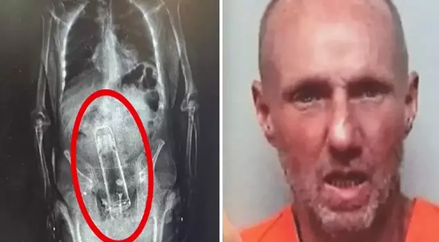 It was noticed at the prison entrance! The truth revealed in the X-Ray left the police speechless.