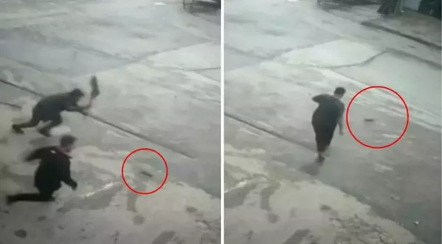 The mouse that entered the shop drove the shopkeeper crazy! They both laughed and tried to chase it away.