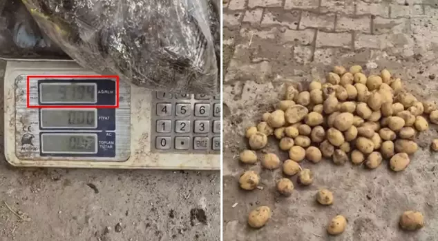 The ultimate in immorality: 13 kilos of potatoes came out of a 22-kilo sack.
