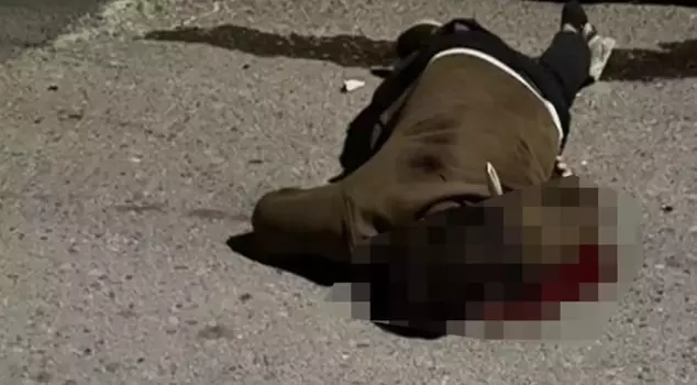 He died before reaching the hospital with the knife in his back.