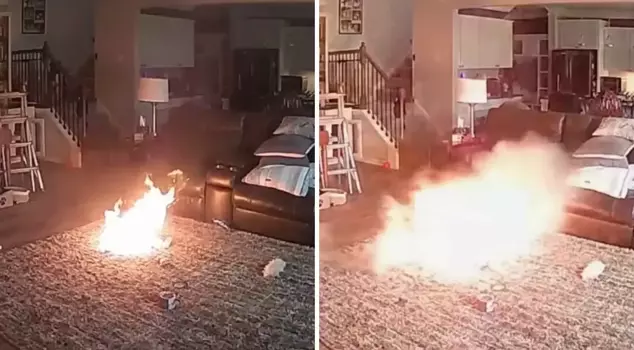 A dog that bit a lithium battery caused a large fire in the house.