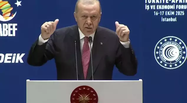 President Erdoğan addressed Africans with the verses of Nazım Hikmet.