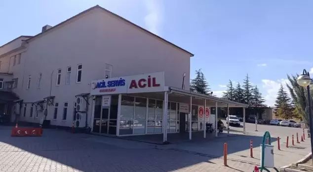 A 9-year-old girl lost her life due to a bee sting in Kahramanmaraş.
