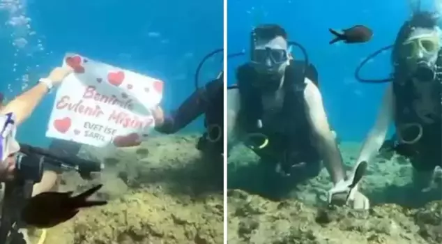 A surprise proposal under the sea! They were very surprised.