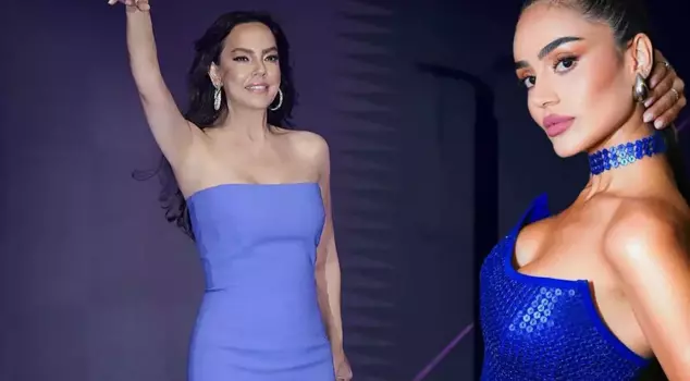 Did Ebru Gündeş's marriage end due to infidelity? A statement has been made following the allegations.
