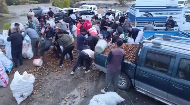 The truck broke down, and the driver distributed the potatoes in the cargo to the citizens for free.