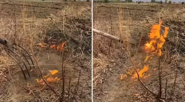 A citizen addressed the authorities with the video they shared: It could be the salvation of our province.