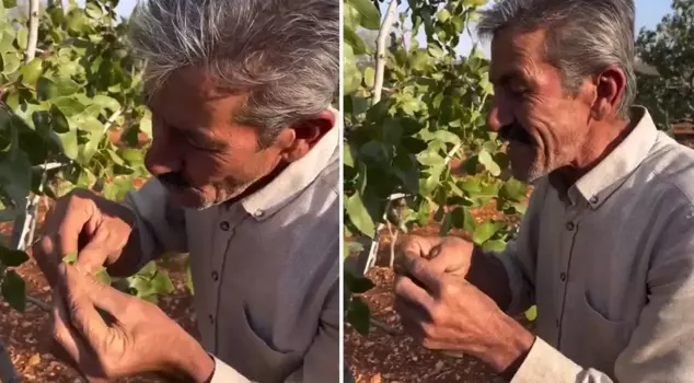 He made an instrument from a tree leaf. The sound it produces is indistinguishable from the real one.