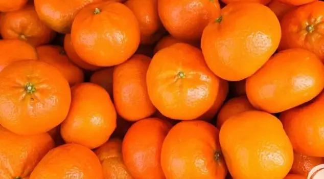 Everyone is asking the same question: What happened to the orange mandarins?