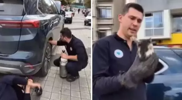 They used an air tube to get the cat out of the car.