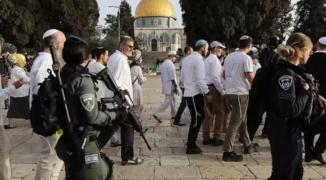 Israeli settlers attacked Palestinians who were picking olives with sticks.