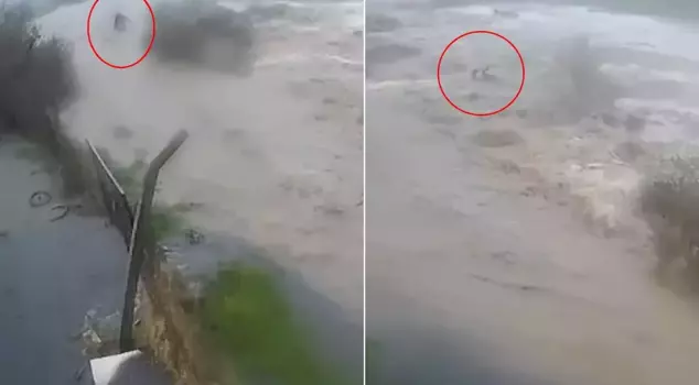 The final moments of Captain Bülent Kaptanoğlu, who was swept away by the flood, are captured on camera! No matter what he did, he couldn't escape.