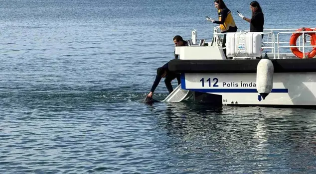 A male corpse was found in the sea in Erdek.