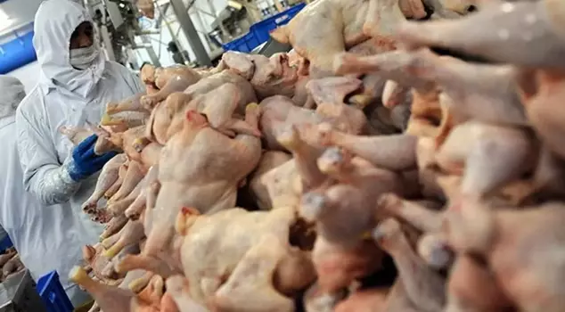 Over 2,000 tons of chicken meat have been recalled! Metal was found among them.