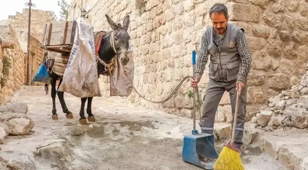 They had been wandering the streets for years! The permanent donkeys will now retire.