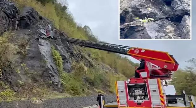 The cables hanging from the cliffs were frightening! A 19-year-old truth has come to light.