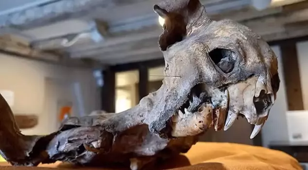 He emerged from the walls of the church, surprising even historians.