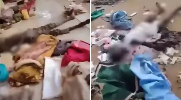 Attack on maternity hospital in Sudan: 460 people have lost their lives.