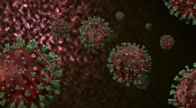 WHO warns about monkeypox: It has spread across the continent and must be brought under control quickly.