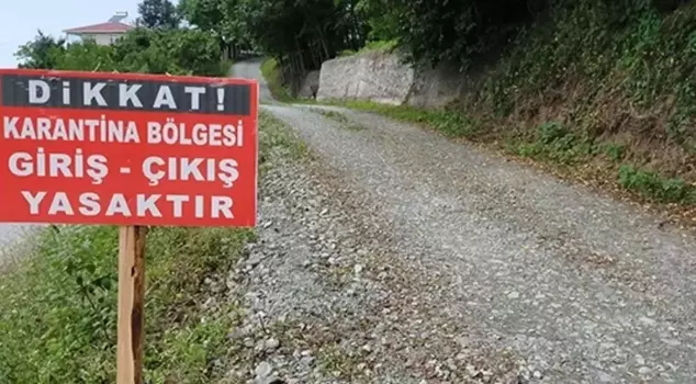 In our city, there is a panic over foot-and-mouth disease! Many neighborhoods have been quarantined.