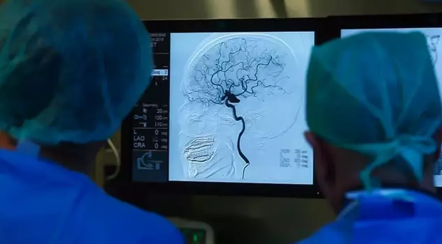 In Turkey, 2 cases have been reported after years! There is no treatment, it leads to coma.