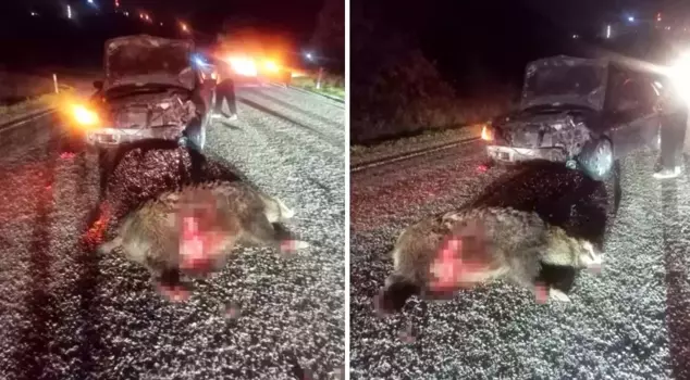 He suddenly veered onto the road, causing an accident.