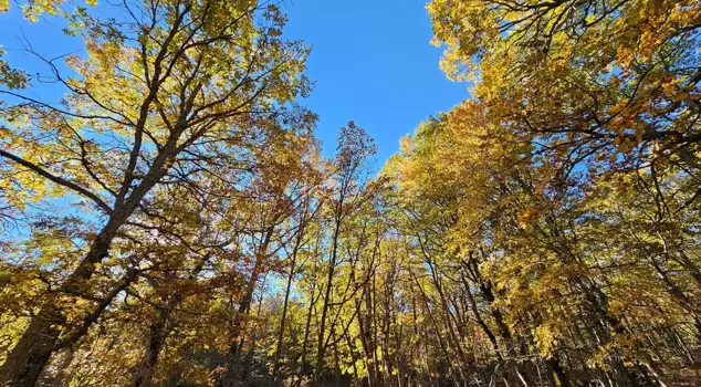 It exists only in Isparta in the world! The penalty for entering without permission is worth a fortune.