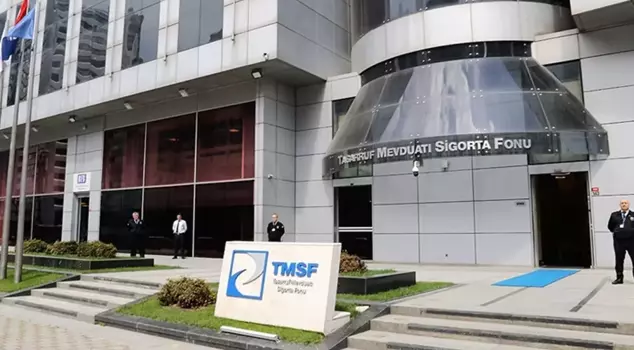 What does Hat Holding, which has been appointed a trustee, do?