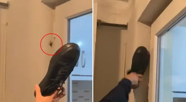 He hit the spider on the wall with his shoe, and he couldn't believe what happened next.