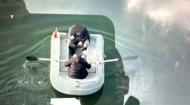 Illegal fishing has come at a high cost.