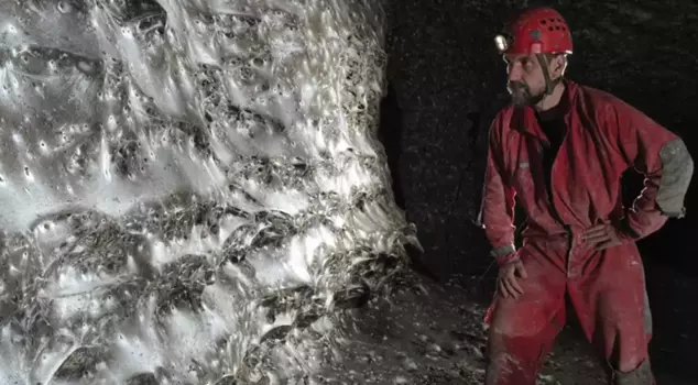 The world's largest spider web has been discovered.