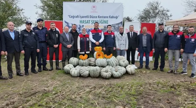 The harvest of Chestnut Pumpkin has begun in Düzce: a yield of over 10,000 tons is expected.