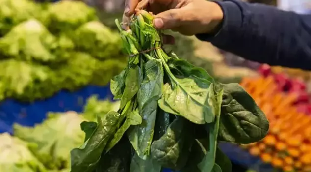 They thought it was spinach and ate it, and they came to the brink of death.