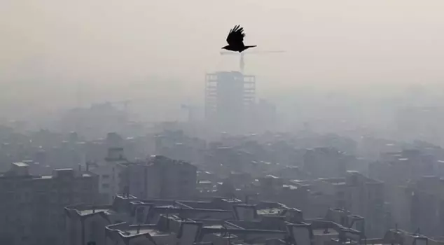 Education has been suspended in the neighboring country due to air pollution.