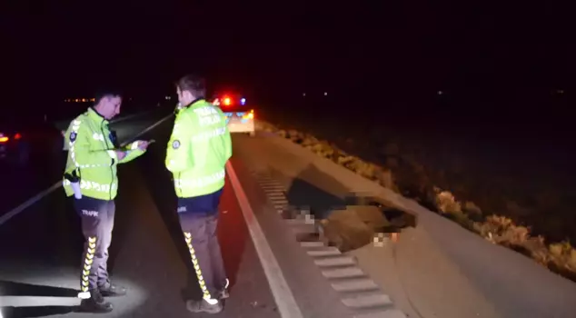 The person reported missing has died as a result of being hit by a car.