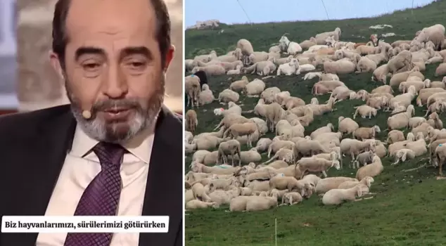 The location of the martyr's grave was noticed by the strange behavior of the sheep herd: When they started to dig that area...