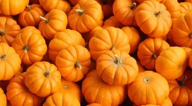 The Pumpkin Has Stepped Outside Its Traditional Role in Kitchens