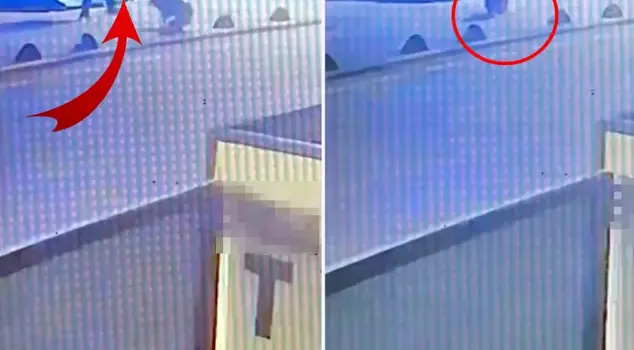 A retired non-commissioned officer shot a stray dog with a gun.