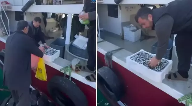 They distributed boxes full of fish for free! The reason is just as interesting.