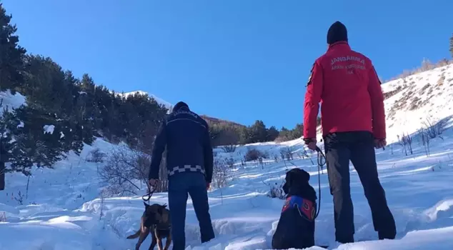 Avalanche disaster case: The club manager denied the allegations.